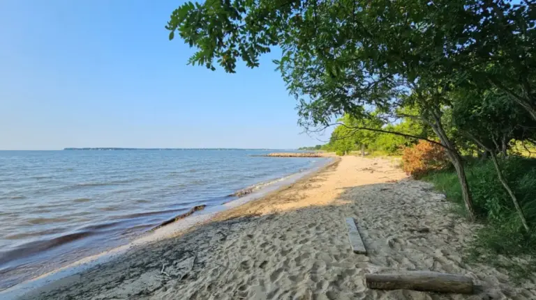 Escaping the Beltway: How Beverly Triton Nature Park Became the Chesapeake Bay’s Best-Kept Coastal Sanctuary
