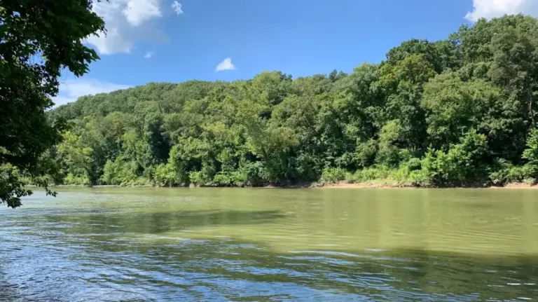 Escaping to the Edge of the Meramec: A Comprehensive Guide to Robertsville State Park’s Natural and Historical Heritage