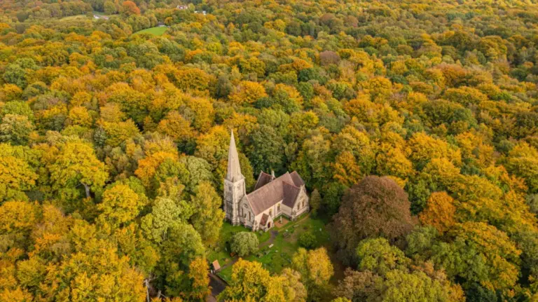 Exploring Epping Forest: London’s Ancient Woodland Sanctuary, Royal Hunting Grounds, and Historic Borderlands