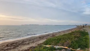 From Toxic Wasteland to Coastal Sanctuary: The Extraordinary Transformation of McLaughlin Eastshore State Park