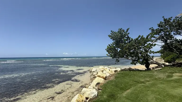 Jamaica’s Tourism Sector Rebounds Stronger: $2.5 Billion Earned Despite Operating at Reduced Capacity