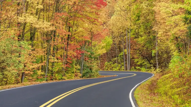 Journey Through the Mist: An Definitive Guide to the Masterpiece Scenic Drives of Great Smoky Mountains National Park