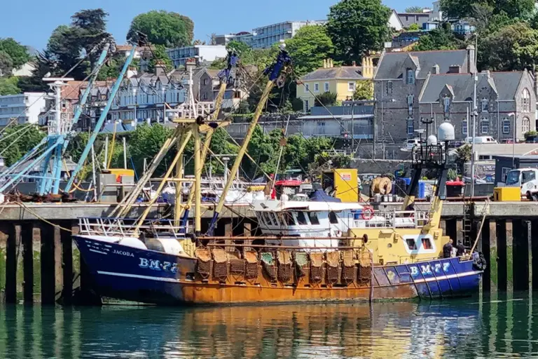 Marine Accident Investigation Branch Releases Report on Severe Crew Injury Aboard Scallop Dredger Jacoba (BM77)