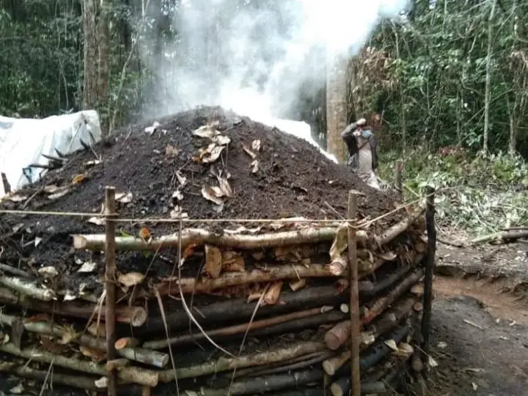 Restoring the Canopy: How the Philippines Plans to Unlock Private Capital for Forest Conservation
