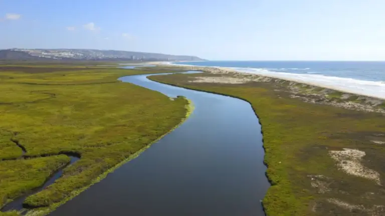 Sanctuary at the Edge: Exploring the Ecological Significance and Challenges of the Tijuana Slough National Wildlife Refuge