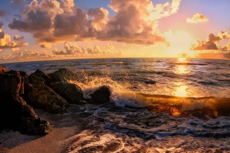 The Blue Shield Falling: How Science, Solutions, and Action Can Help Protect Our Ocean’s Future
