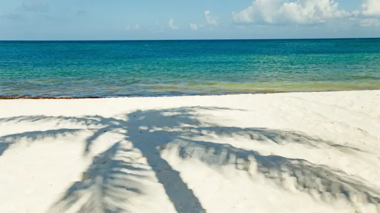 The Dawn of a New Era for Caribbean Luxury: Hyatt Officially Sets April 2027 Opening Date for Secrets Macao Beach Punta Cana