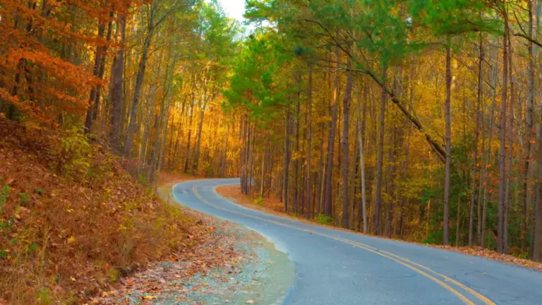The Great Southern Migration: Why Chatham County, North Carolina, Has Become the Ultimate Retirement Haven