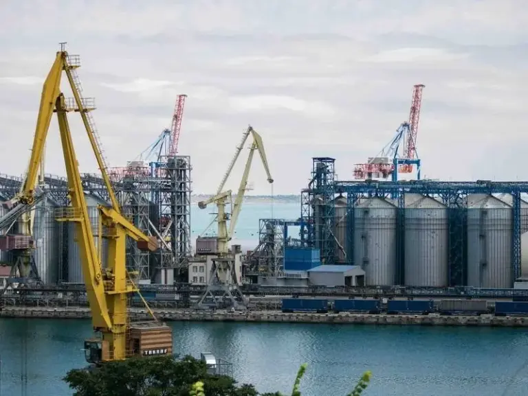 Baltic Nations Launch Diplomatic Offensive to Enforce Full EU Ban on Russian Grain Exports