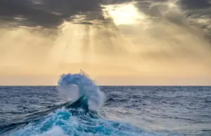 Charting a Course for Blue Horizons: The Vital Role of Giving Tuesday and Year-End Philanthropy in Ocean Conservation