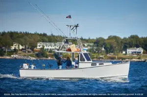 Decoding the Waterways: The Critical Safety Guide to Maritime Navigation Lights and Day Shapes