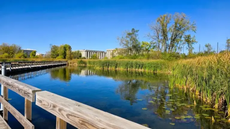 Discovering the Wild Within: An Investigative Look at Westwood Hills Nature Center’s Urban Sanctuary