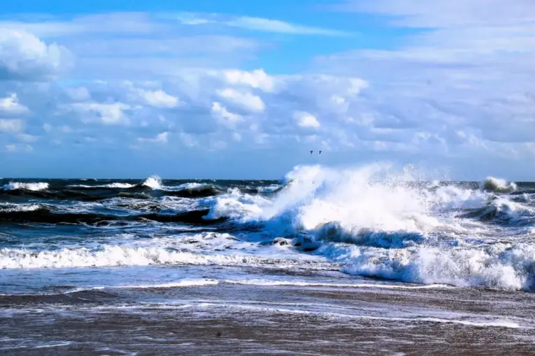 Eyes on the Deep: How America’s Hidden Ocean Observing Infrastructure Secures Our Coastlines, Supply Chains, and Future