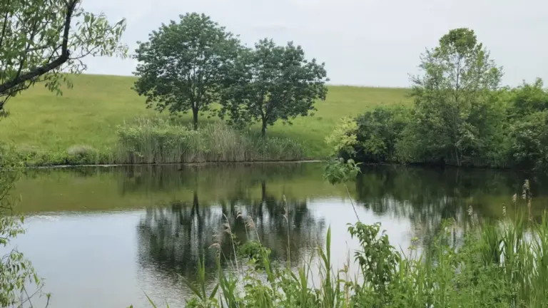 From Industrial Wasteland to Ecological Sanctuary: The Remarkable Transformation of Illinois’ St. Ellen Mine Into a Premier Public Park