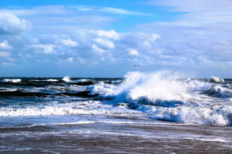 Invisible Lifelines: How America’s Ocean Observing System Protects Communities, Commerce, and Lives
