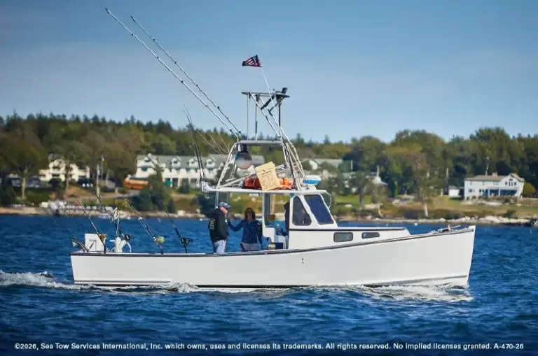 Navigating by Sight: A Masterclass in Maritime Day Shapes, Navigation Lights, and Collision Avoidance
