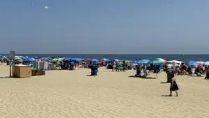 Navigating the Coast: The Essential Guide to Unwritten Rules and Realities of the Jersey Shore