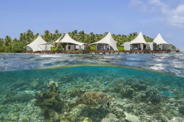 Travel Industry News