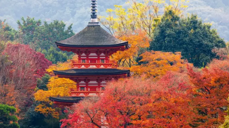 Navigating the Land of the Rising Sun: An In-Depth Analysis of Common Tourist Grievances and Practical Solutions for Visiting Japan