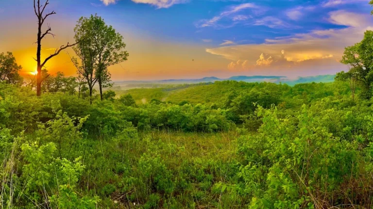 Navigating the Ozarks’ Crown Jewel: An Investigative Exploration of Missouri’s Glade Top Trail