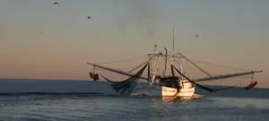 Navigating the Tides of Change: U.S. Fisheries Face an Uncertain Future at a 50-Year Crossroads