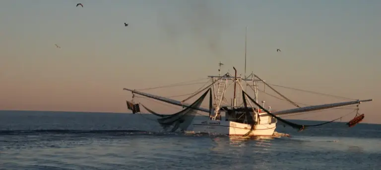 Navigating the Tides of Change: U.S. Fisheries Face an Uncertain Future at a 50-Year Crossroads