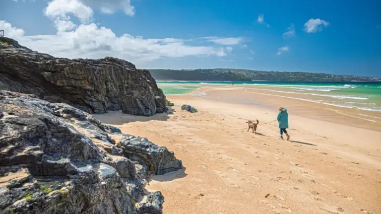 The Autumn Influx: UK Beaches Welcome Back Dog Walkers as Summer Restrictions Lift