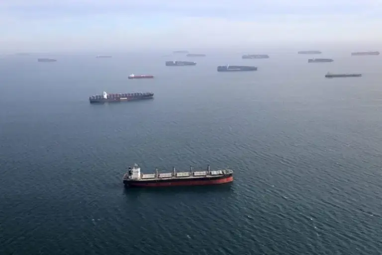 The Usable Capacity Crisis: How Port Congestion is Stranding 12% of the Global Container Fleet Despite Record Vessel Supply