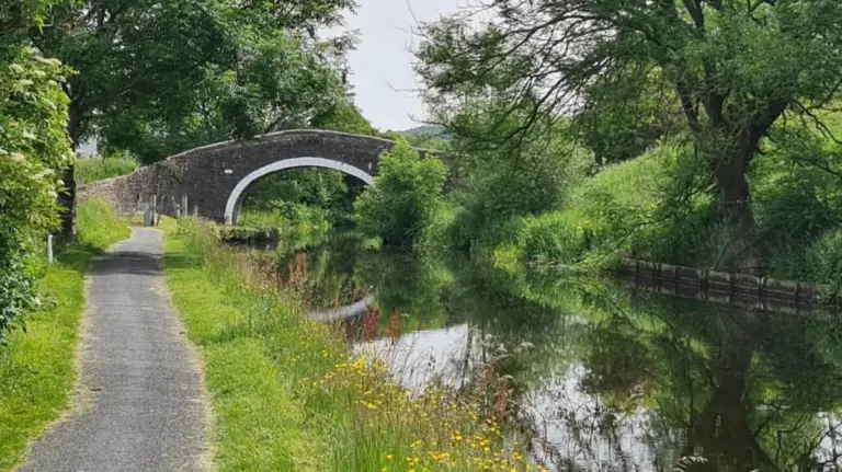 Unveiling Pendle’s Dark Past and Green Horizons: A Comprehensive Investigation Into Nelson, Lancashire